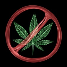 I'm not one who wades into the political spectrum very often. However, Ohio's vote on the legalization of marijuana, is a subject that is near and dear to my heart.